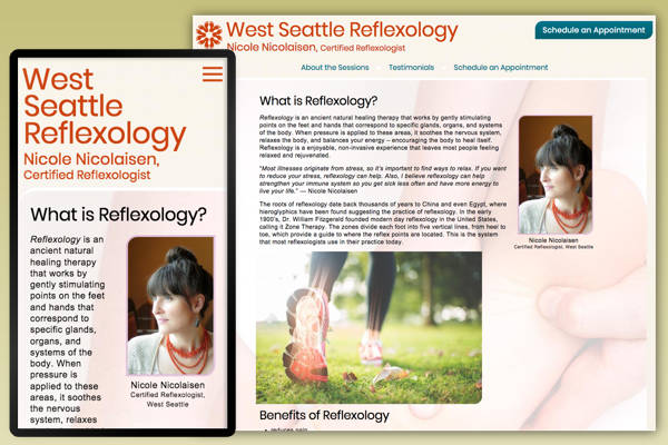 Website Design example 004
