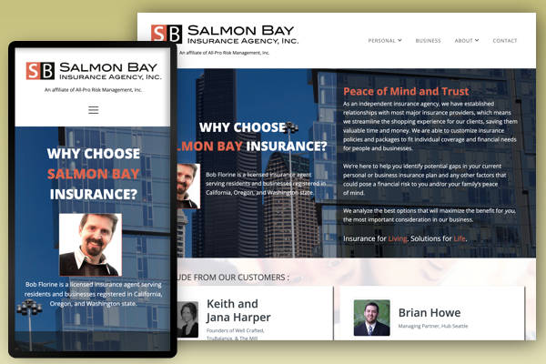 Website Design example 006