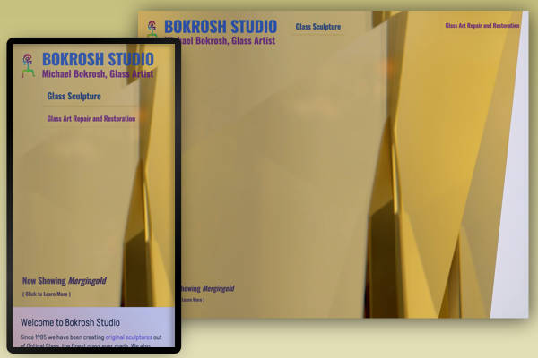 Website Design example 011